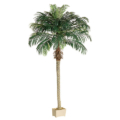 8' Phoenix Palm Tree in Rectangular Plastic Pot