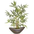 15 Inch Potted Bamboo Plant in Brown Pot