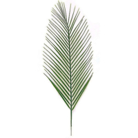 31 Inch Polyblend Outdoor UV Areca Palm Branch Light Green