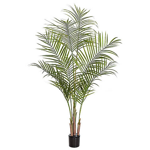 5.5 Foot Plastic Areca Palm Tree