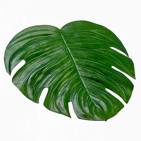 18 Inch W x 16.5 Inch L Monstera Placemat