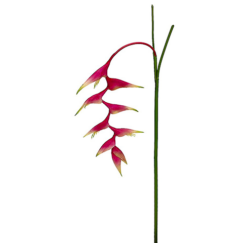 48 Inch Heliconia Hanging Spray