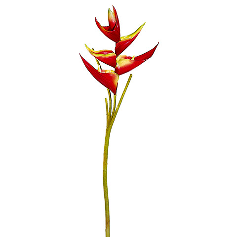 34 Inch Small Heliconia Spray
