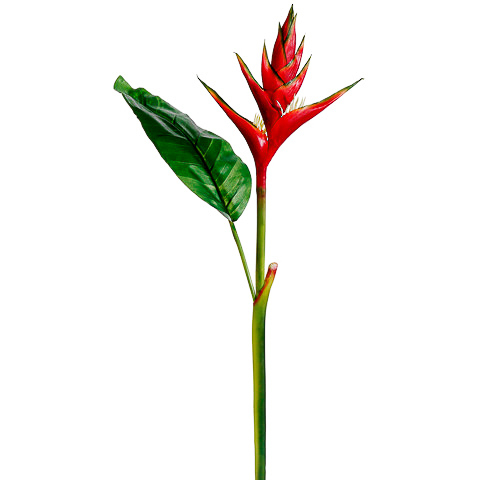 46 Inch Heliconia Spray