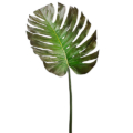 55 Inch Monstera Leaf