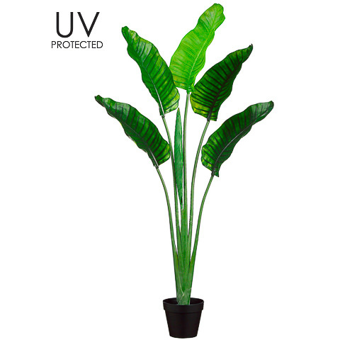 64 Inch UV Protected Plastic Bird of Paradise Plant in Pot