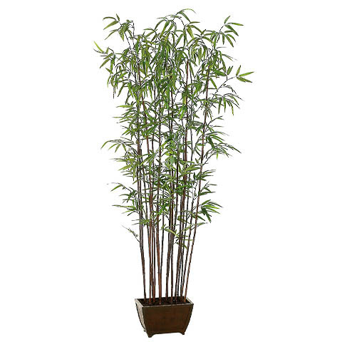 72 Inch Bamboo Wall Tree x19 with 1276 Leaves in Wood Container