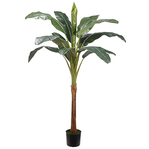 72 Inch Banana Tree With 13 Leaves in Pot