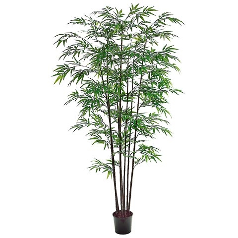 7 Foot Black Bamboo Tree x8 with 1980 Leaves in Pot