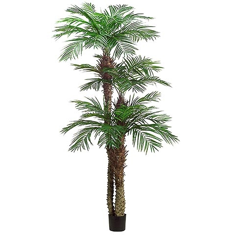 9 Foot + 7 Foot + 5 Foot Tropical Areca Palm Tree x3 with 1364 Leaves in Plastic Pot