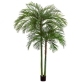 7 Foot Areca Palm Tree x2 with 1692 Leaves in Plastic Pot