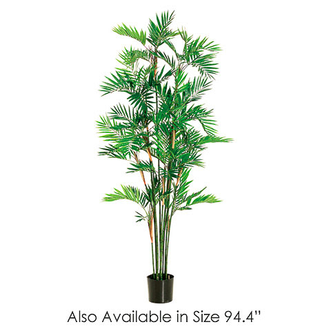 7.8 Foot Parlour Palm Tree x15 w/1470 Leaves in Pot