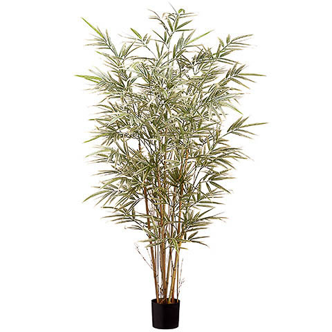 4 Foot Bamboo Tree x7 in Pot with 960 Leaves