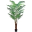 7 Foot Areca Palm Tree x19 With 739 Leaves in Plastic Pot