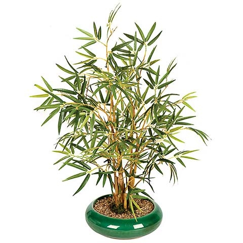 21 Inch Potted Bamboo Plant in Ceramic Pot