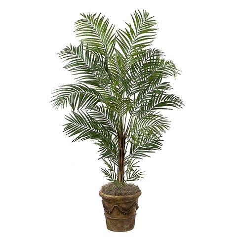 7 Foot Deluxe Areca Palm Tree