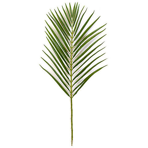 35 Inch Areca Palm Branch x 32 (Sold by the Dozen)