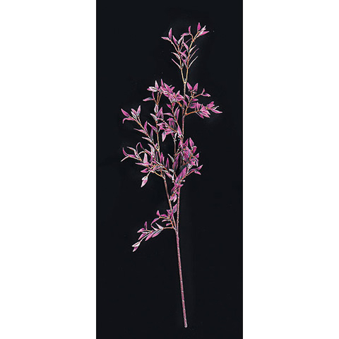 25.5 Inch Bamboo Branch Purple (Sold by Dozen)