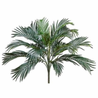 29" Phoenix Palm Bush x18