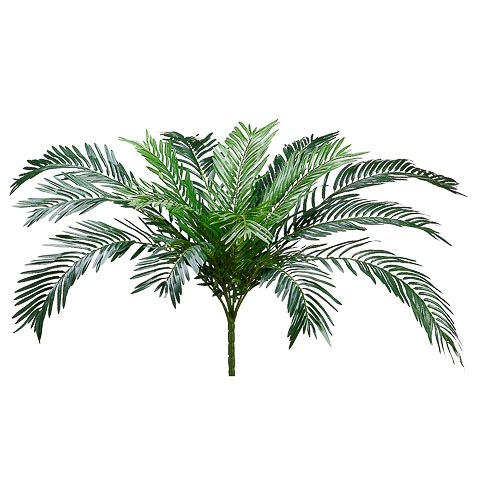37 Inch Cycas Palm Bush x15 with 845 Leaves