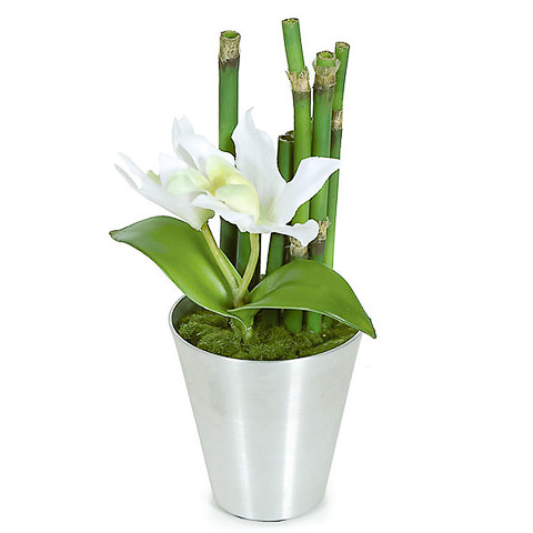 10 Inch Potted Cattleya and Bamboo Plant in Tin Pot