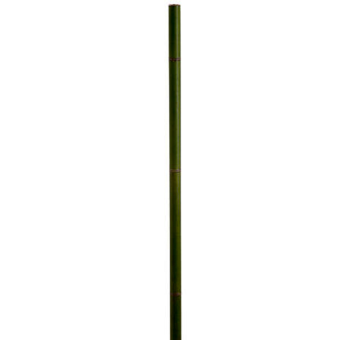 60 Inch Bamboo Stick