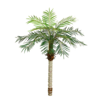 5.5 Foot Date Palm Tree x15 w/525 Leaves