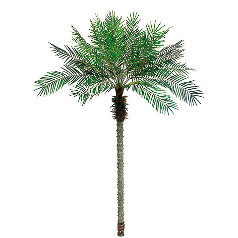 8.5 Foot Date Palm Tree x24 w/1096 Leaves