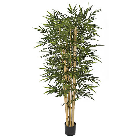 7 Foot New Bamboo Tree with Thick / Thin Canes