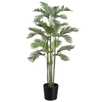 6 Foot Areca Palm in Bamboo Container