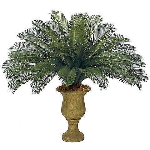 44 Inch Outdoor UV Protected Polyblend Cycas Palm, 36 Fronds