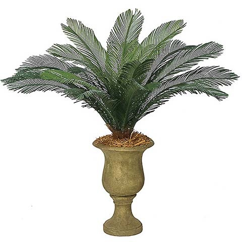 44 InchOutdoor UV Protected Polyblend Cycas Palm, 18 Fronds