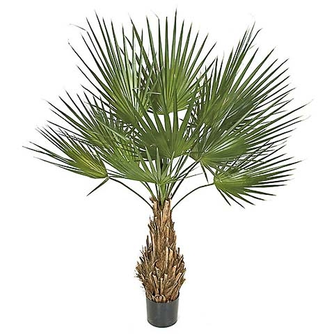 5 Foot PVC Washingtonia Palm Tree on Natural Trunk
