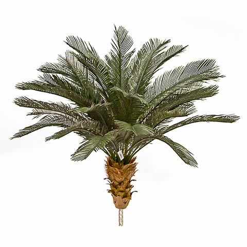3.5 Foot x 48 Inch Outdoor UV Protected Polyblend Cycas Palm Tree
