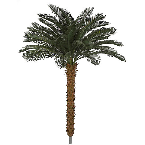 4.5 Foot x 48 Inch Outdoor UV Protected Polyblend Cycas Palm Trees