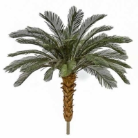 5.5 Foot x 48 Inch Outdoor UV Protected Polyblend Cycas Palm Tree