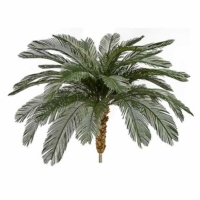 5.5 Foot x 68 Inch Outdoor UV Protected Polyblend Cycas Palm Tree