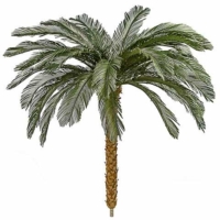 7.5 Foot x 68 Inch Outdoor UV Protected Polyblend Cycas Palm Tree