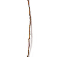 9 Foot Brown Stick Vine