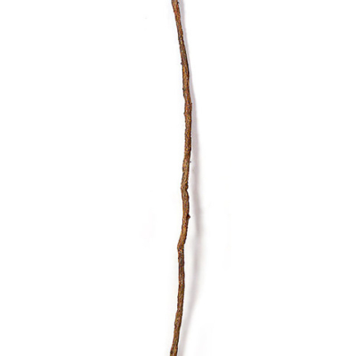 9 Foot Brown Stick Vine