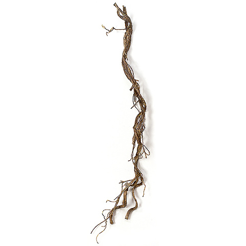 5.5 Foot Plastic Artificial Twisted Twig Vine