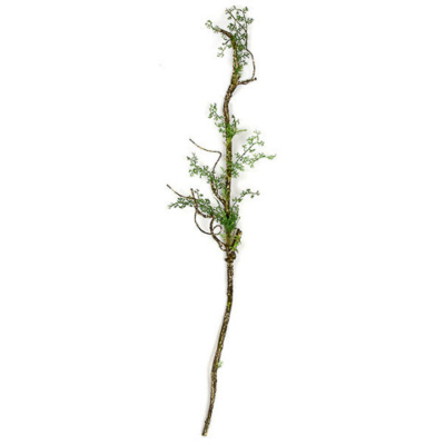5.5 Foot Fern Twig Vine
