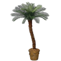 5 Foot Outdoor UV Protected Polyblend Cycas Palm Tree x 24 Fronds, Curved Or Straight Trunk