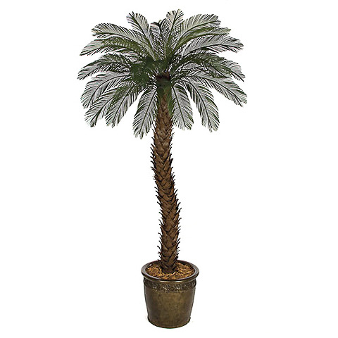 6 Foot Outdoor UV Protected Polyblend Cycas Palm Tree, 36 Fronds
