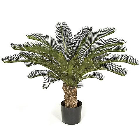 30 Inch UV Rated Plastic Cycas Palm