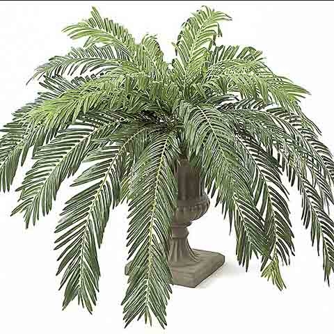 60 Inch Width Artificial Cycas Palm Cluster