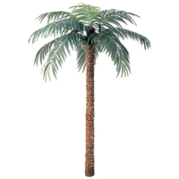 12 Foot Coconut Palm Tree