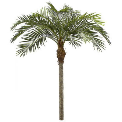 Artificial Coconut Palm Trees | Indoor Coconut Tree