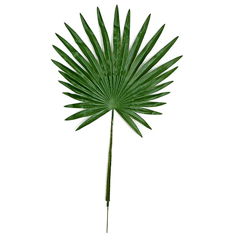 32 Inch Fan Palm Branch (Sold by Dozen)