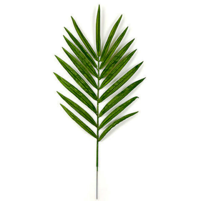 42 Inch Kentia Palm Branch (Sold per piece)